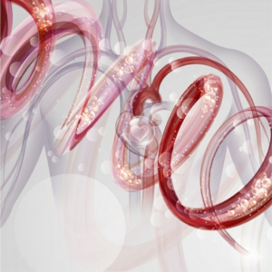 Cardiovascular Support