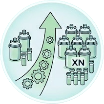 scalable production capacity